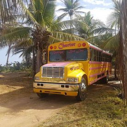Busigó Bus Line vehicuos
