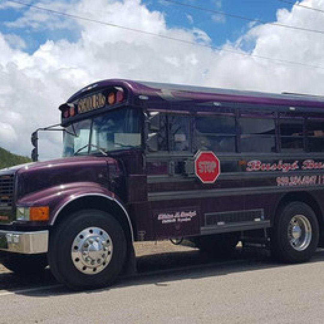 Busigó Bus Line vehicuos